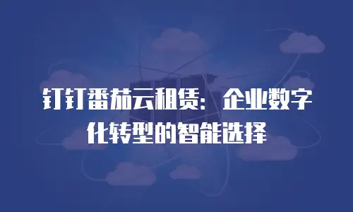 钉钉番茄云租赁：企业数字化转型的智能选择