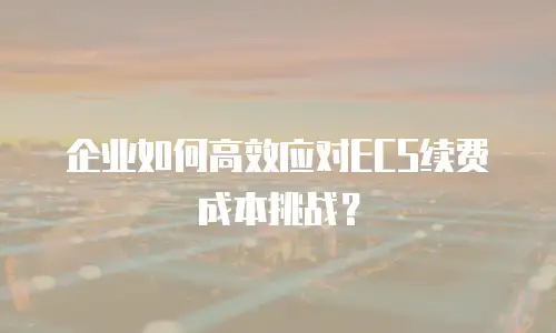 企业如何高效应对ECS续费成本挑战？