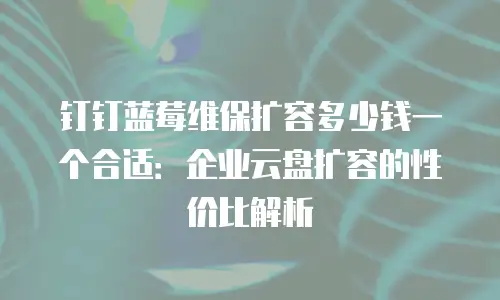 钉钉蓝莓维保扩容多少钱一个合适：企业云盘扩容的性价比解析
