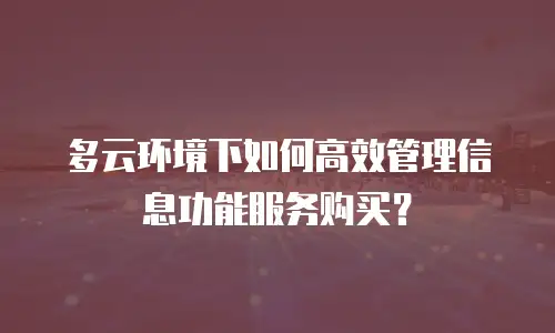 多云环境下如何高效管理信息功能服务购买？