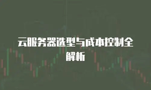 云服务器选型与成本控制全解析