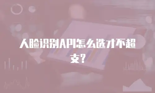 人脸识别API怎么选才不超支？