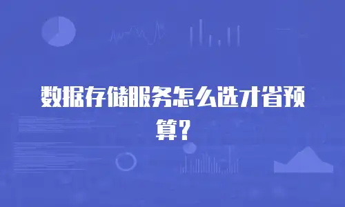 数据存储服务怎么选才省预算？