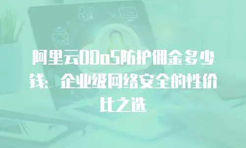 阿里云DDoS防护佣金多少钱：企业级网络安全的性价比之选