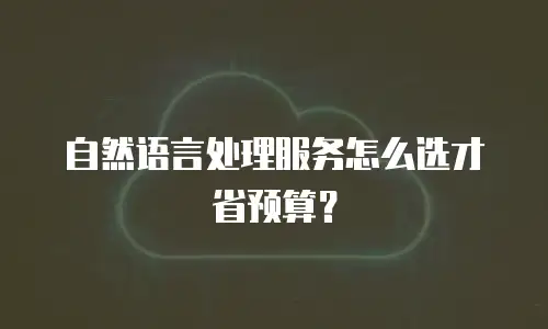 自然语言处理服务怎么选才省预算？