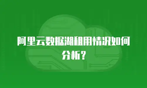 阿里云数据湖租用情况如何分析？