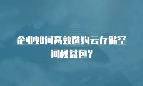 企业如何高效选购云存储空间权益包？