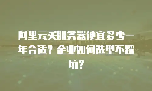 阿里云买服务器便宜多少一年合适？企业如何选型不踩坑？