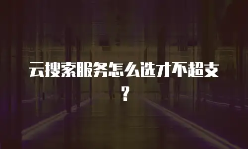 云搜索服务怎么选才不超支？