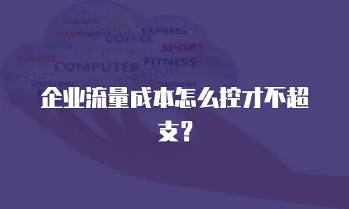 企业流量成本怎么控才不超支？