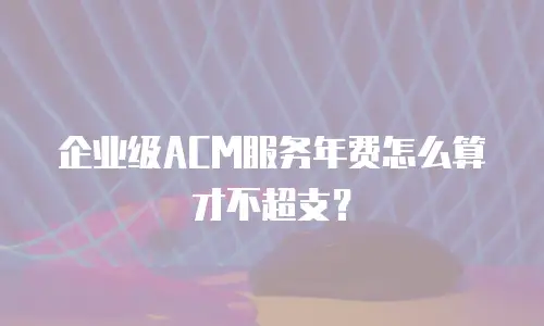 企业级ACM服务年费怎么算才不超支？