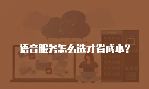 语音服务怎么选才省成本？