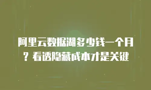 阿里云数据湖多少钱一个月？看透隐藏成本才是关键