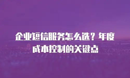 企业短信服务怎么选？年度成本控制的关键点