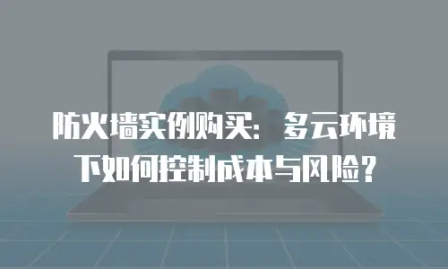 防火墙实例购买：多云环境下如何控制成本与风险？