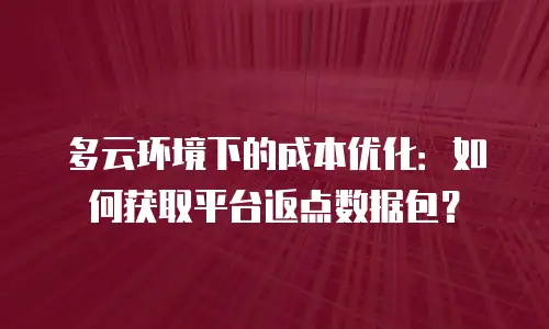多云环境下的成本优化：如何获取平台返点数据包？
