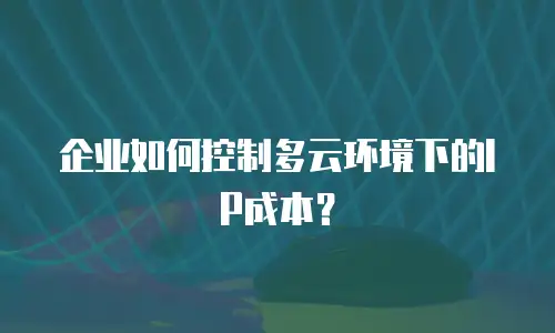 企业如何控制多云环境下的IP成本？