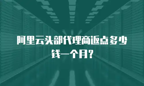 阿里云头部代理商返点多少钱一个月？