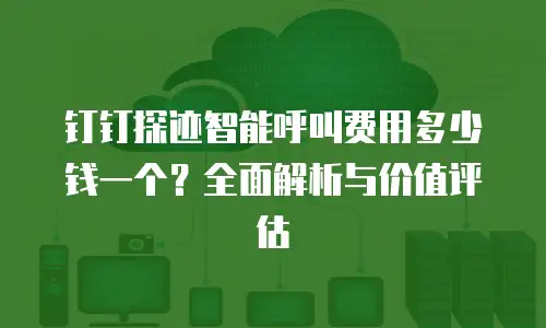钉钉探迹智能呼叫费用多少钱一个？全面解析与价值评估