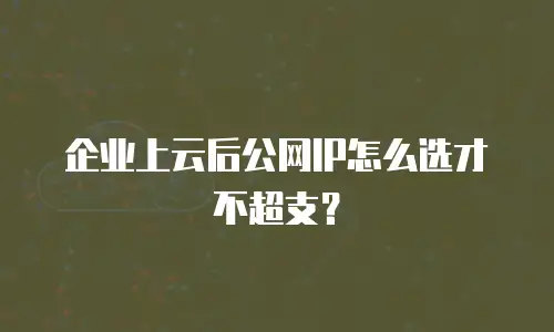 企业上云后公网IP怎么选才不超支？