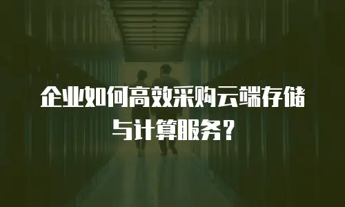 企业如何高效采购云端存储与计算服务？