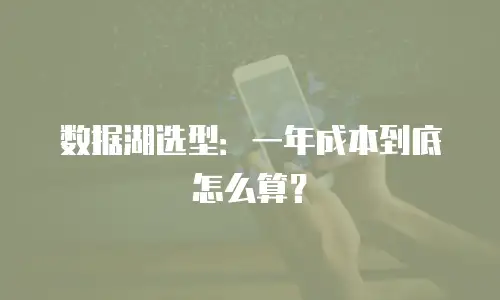 数据湖选型：一年成本到底怎么算？