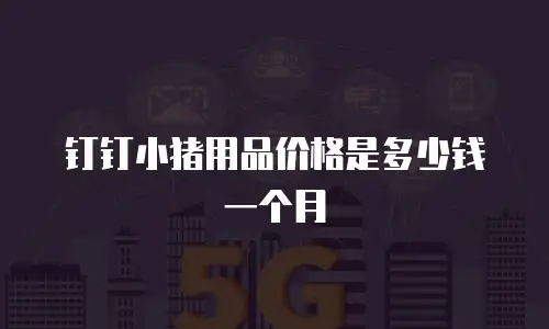 钉钉小猪用品价格是多少钱一个月