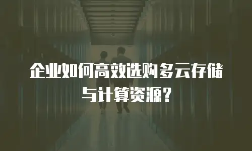 企业如何高效选购多云存储与计算资源？