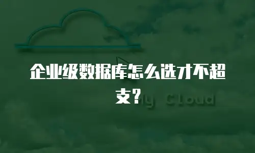 企业级数据库怎么选才不超支？