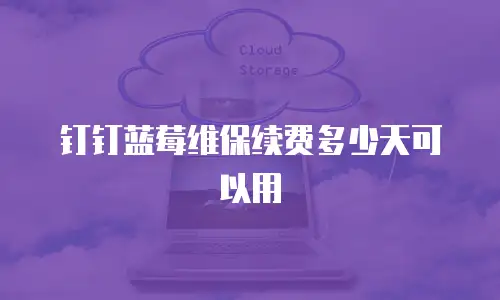 钉钉蓝莓维保续费多少天可以用