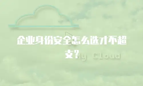 企业身份安全怎么选才不超支？
