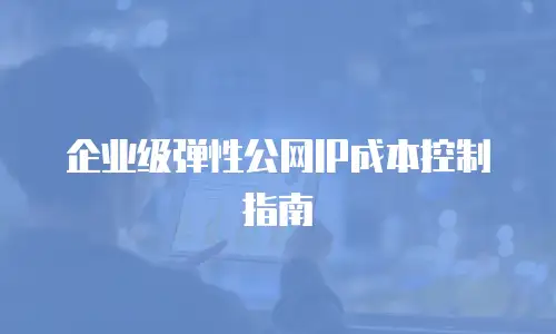 企业级弹性公网IP成本控制指南