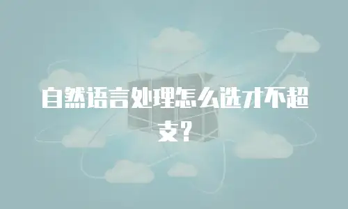 自然语言处理怎么选才不超支？