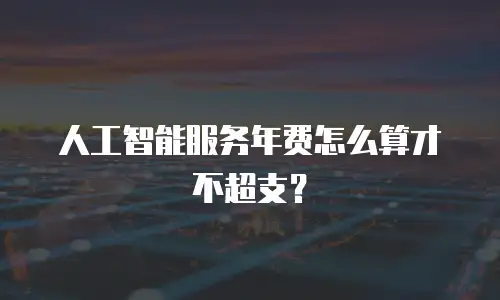 人工智能服务年费怎么算才不超支？