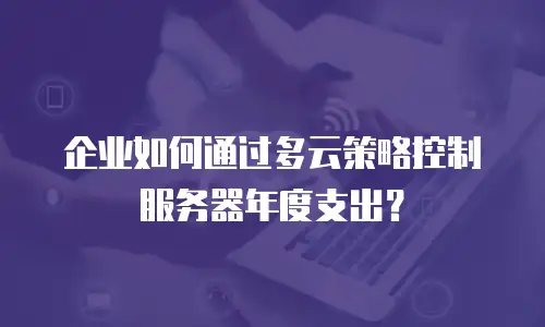 企业如何通过多云策略控制服务器年度支出？