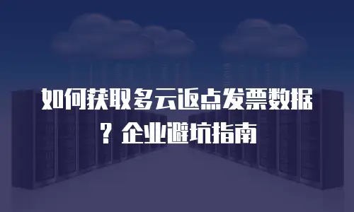 如何获取多云返点发票数据？企业避坑指南