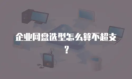 企业网盘选型怎么算不超支？