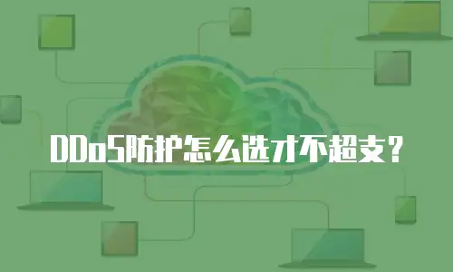 DDoS防护怎么选才不超支？