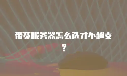 带宽服务器怎么选才不超支？