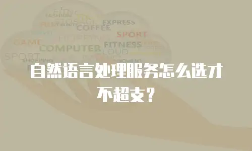 自然语言处理服务怎么选才不超支？