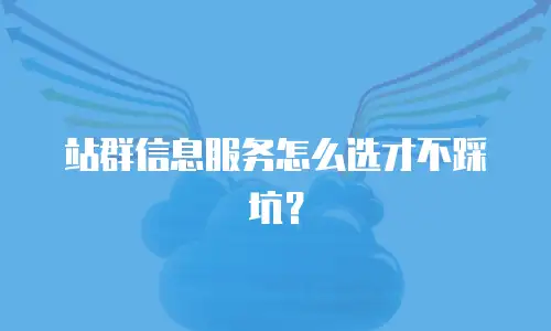 站群信息服务怎么选才不踩坑？