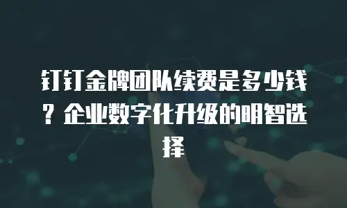 钉钉金牌团队续费是多少钱？企业数字化升级的明智选择