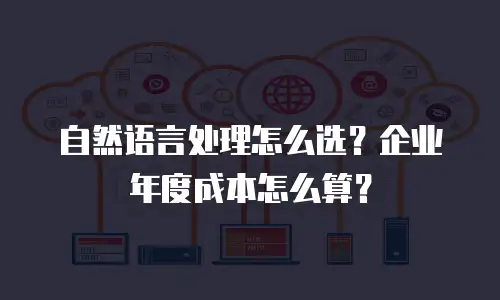 自然语言处理怎么选？企业年度成本怎么算？