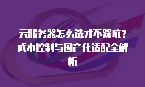 云服务器怎么选才不踩坑？成本控制与国产化适配全解析