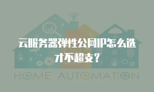 云服务器弹性公网IP怎么选才不超支？