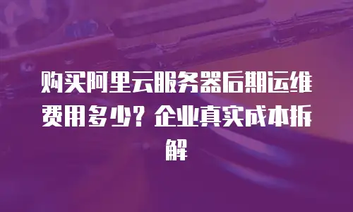 购买阿里云服务器后期运维费用多少？企业真实成本拆解