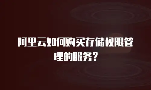 阿里云如何购买存储权限管理的服务？