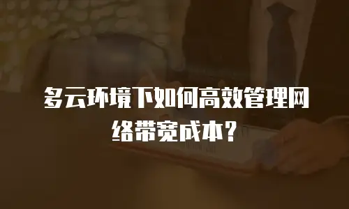 多云环境下如何高效管理网络带宽成本？