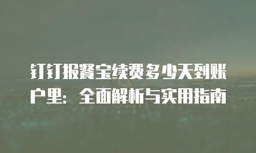 钉钉报餐宝续费多少天到账户里：全面解析与实用指南