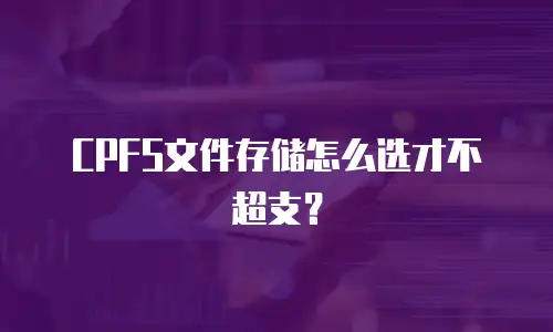 CPFS文件存储怎么选才不超支？